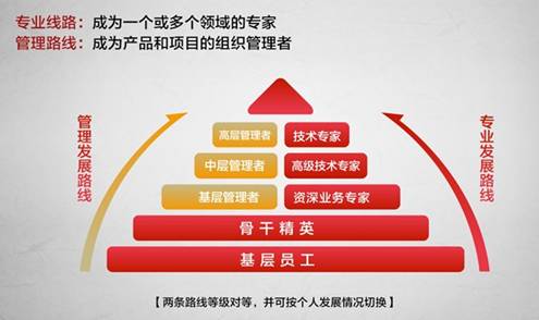 职业发展